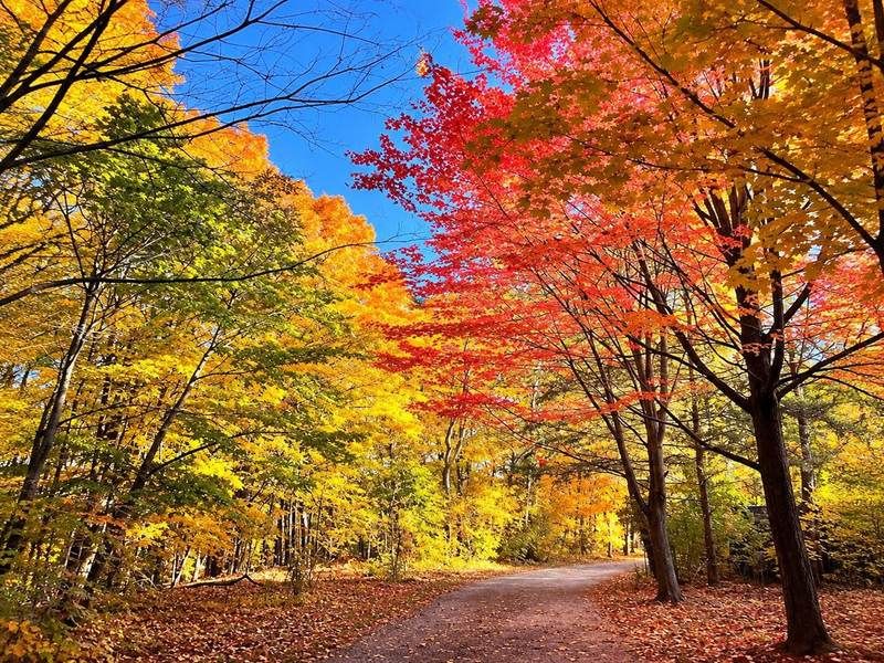Fall things to do in Oakville and Burlington Ontario
